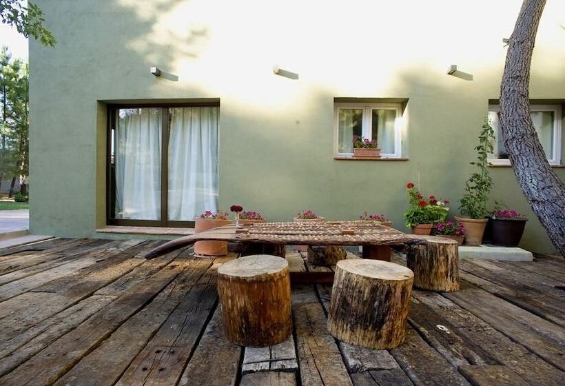 هتل Boutique Pinar