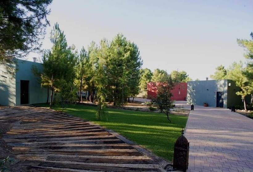 هتل Boutique Pinar