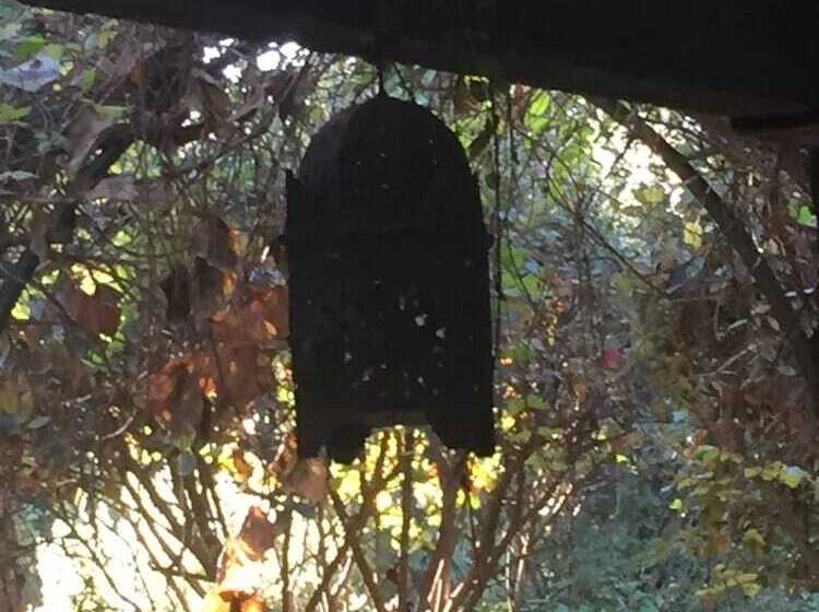 هتل Boutique Pinar