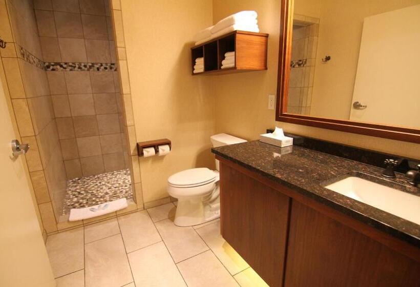 호텔 C Mon Inn Billings