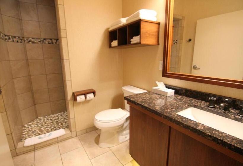 호텔 C Mon Inn Billings