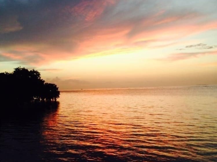 فندق Captain Pip's Marina & Hideaway