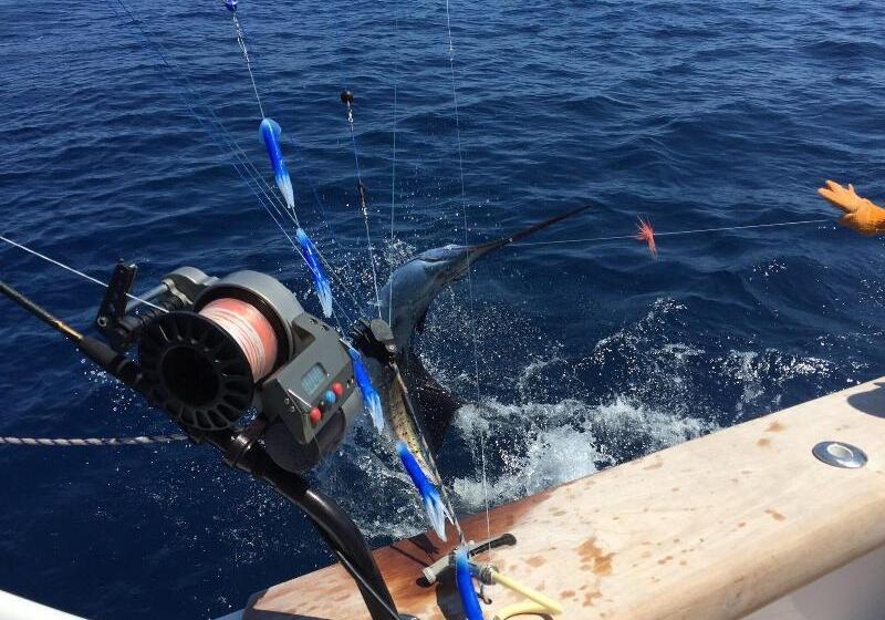 فندق Captain Pip's Marina & Hideaway