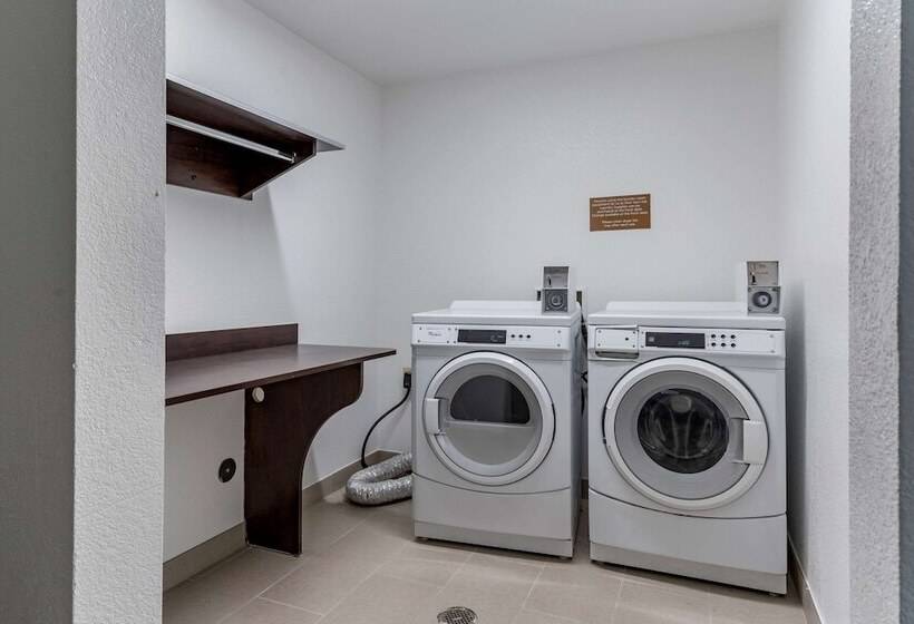 فندق Comfort Inn & Suites