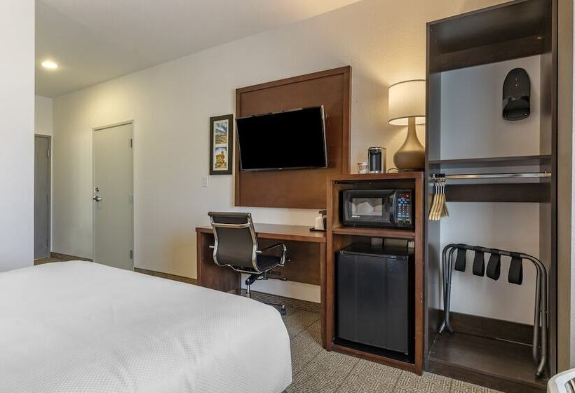 فندق Comfort Inn & Suites