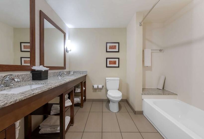 فندق Comfort Suites And Conference Center