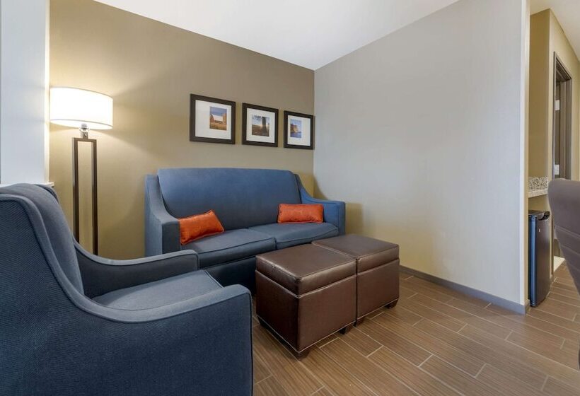 فندق Comfort Suites And Conference Center