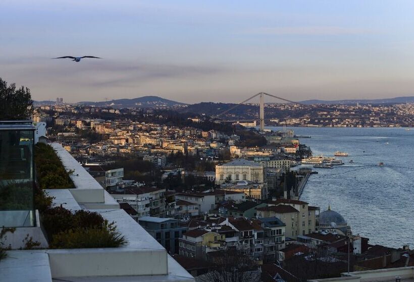 Cvk Park Bosphorus Hotel Istanbul
