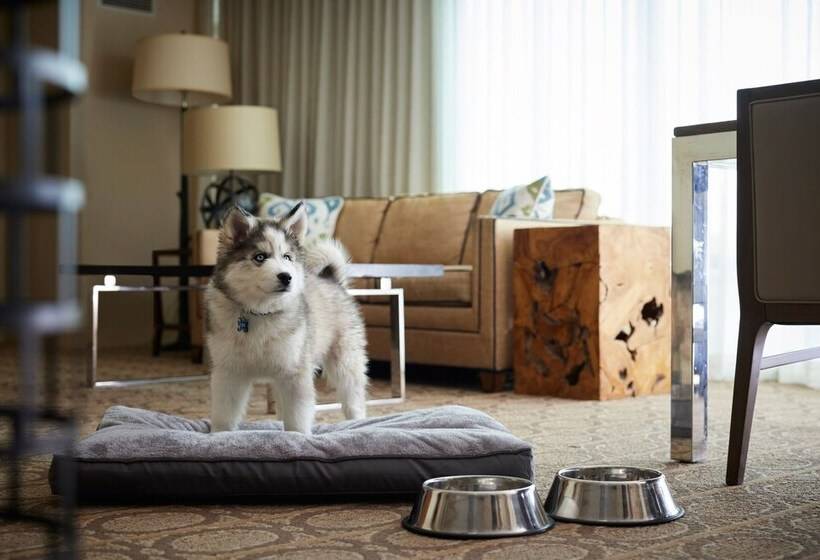 فندق Denver Marriott Westminster