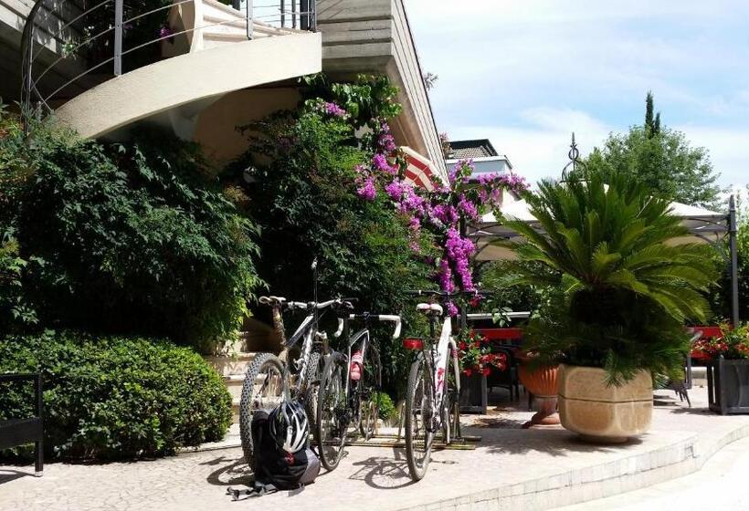 Отель Desenzano