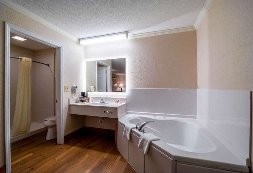 فندق Econo Lodge Inn & Suites Cayce I 26 Airport