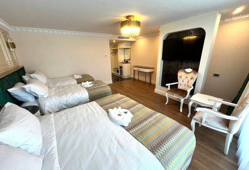 هتل Golden Horn Bosphorus