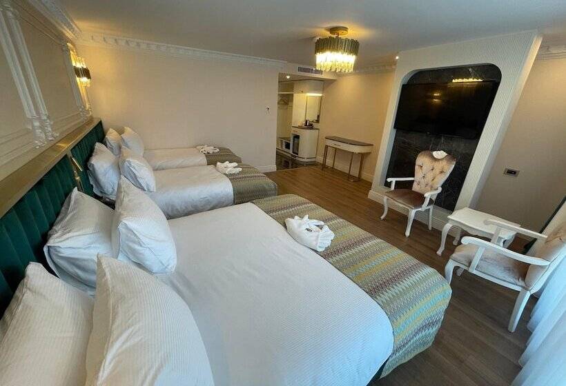 هتل Golden Horn Bosphorus