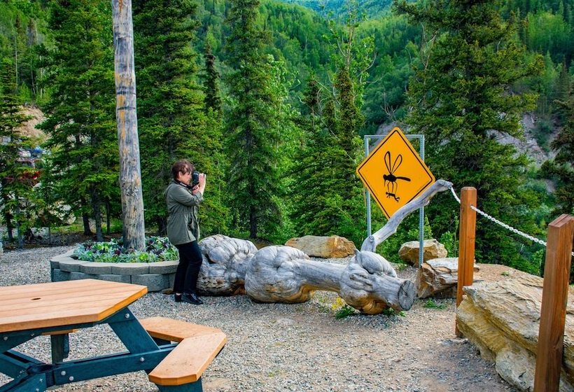 酒店 Grande Denali Lodge