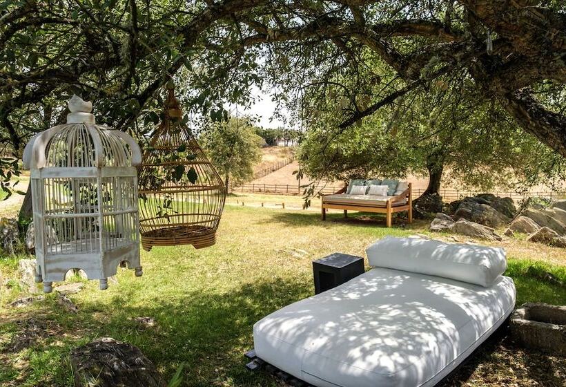 فندق Herdade Da Cortesia