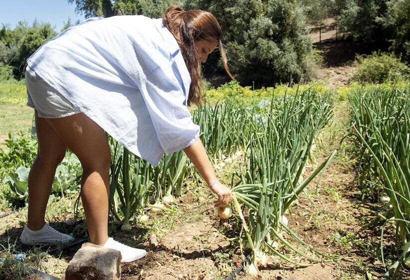 فندق Herdade Da Cortesia