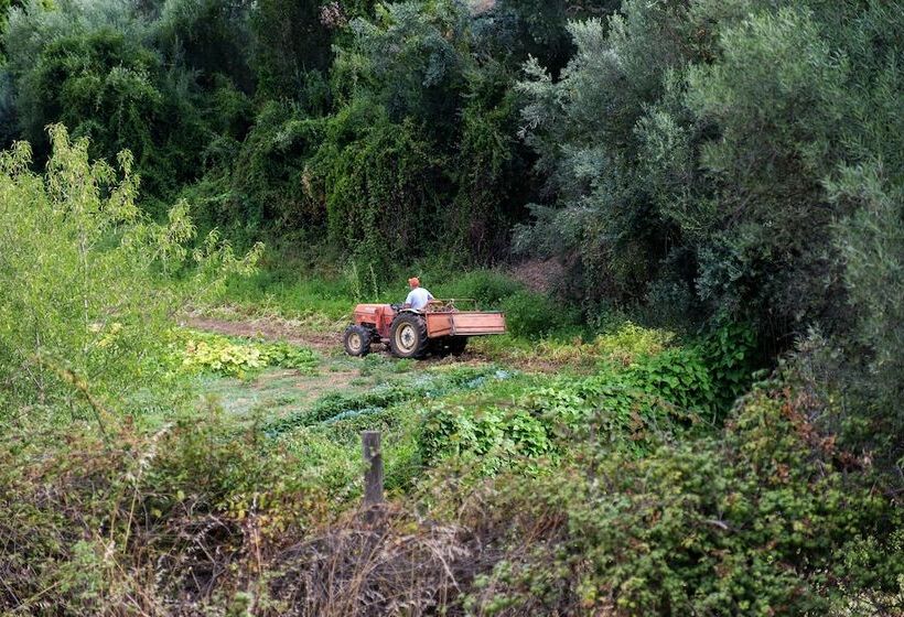 فندق Herdade Da Cortesia