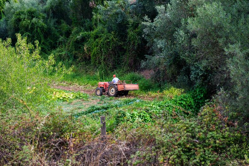 فندق Herdade Da Cortesia