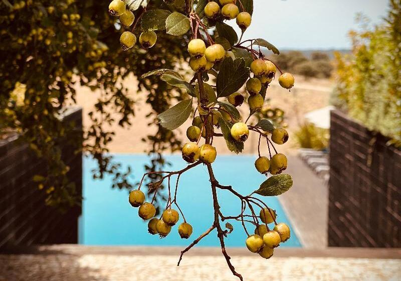 فندق Herdade Da Cortesia