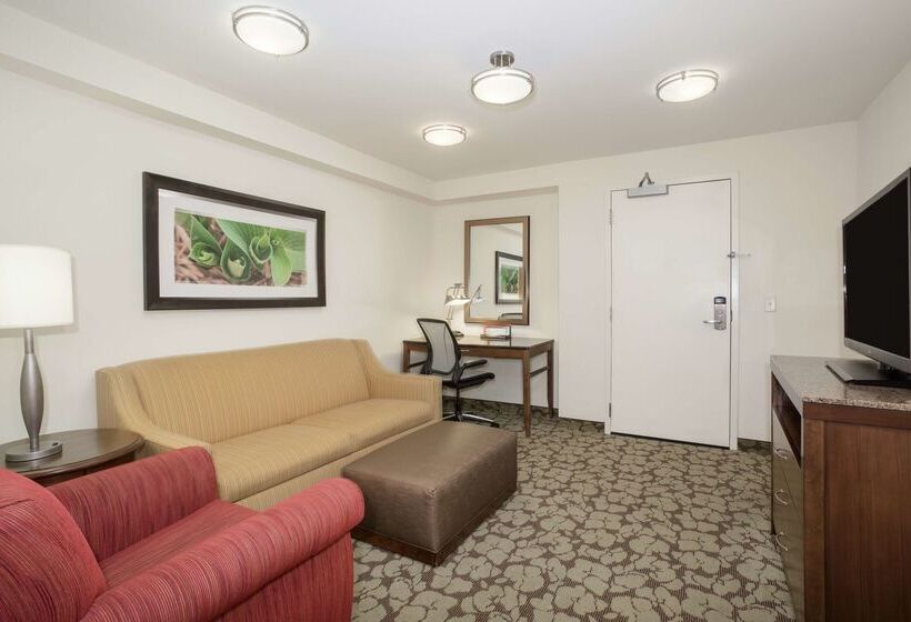 호텔 Hilton Garden Inn Lincoln Downtown/haymarket