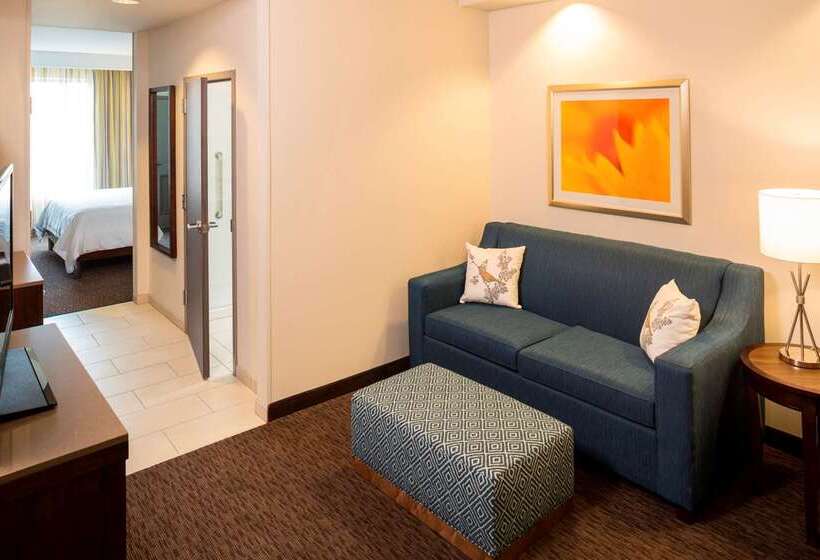 هتل Hilton Garden Inn Sioux Falls Downtown