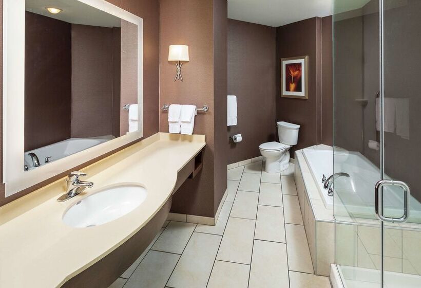 هتل Hilton Garden Inn Sioux Falls Downtown