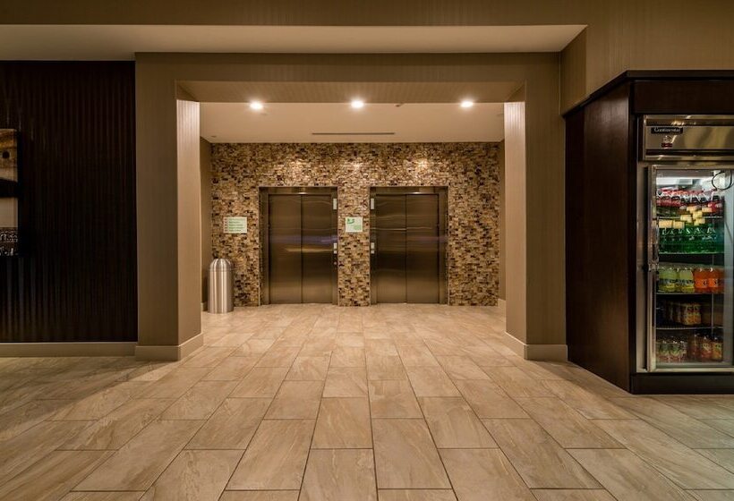 Hotel Holiday Inn Austin Airport, An Ihg