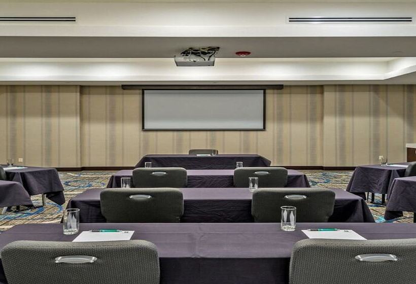 Hotel Holiday Inn Austin Airport, An Ihg