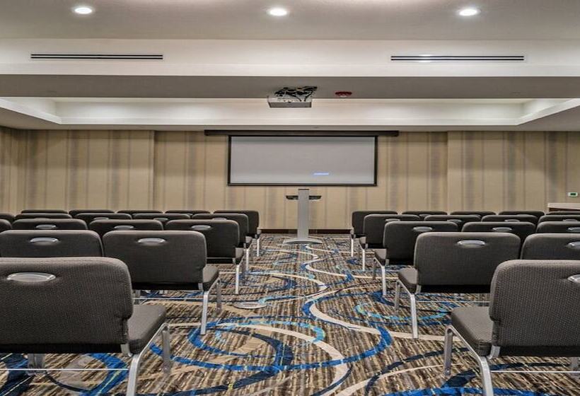 Hotel Holiday Inn Austin Airport, An Ihg