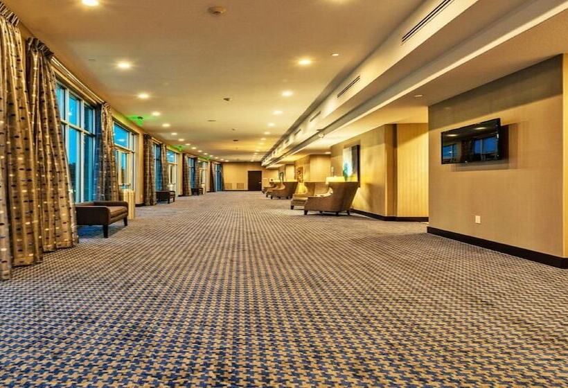 Hotel Holiday Inn Austin Airport, An Ihg