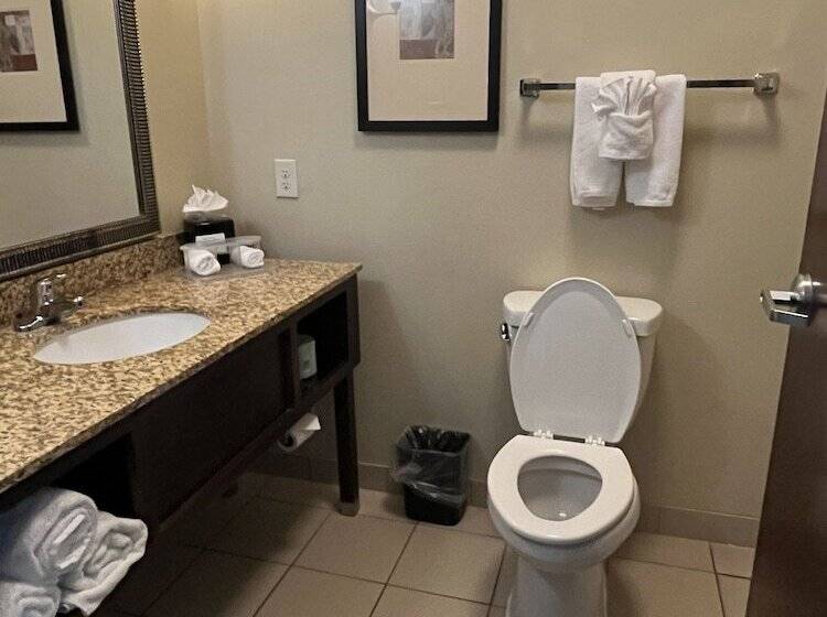 Отель Holiday Inn Express & Suites Deming Mimbres Valley, An Ihg