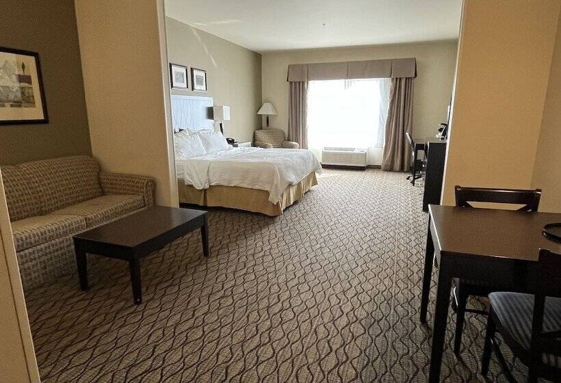 Отель Holiday Inn Express & Suites Deming Mimbres Valley, An Ihg