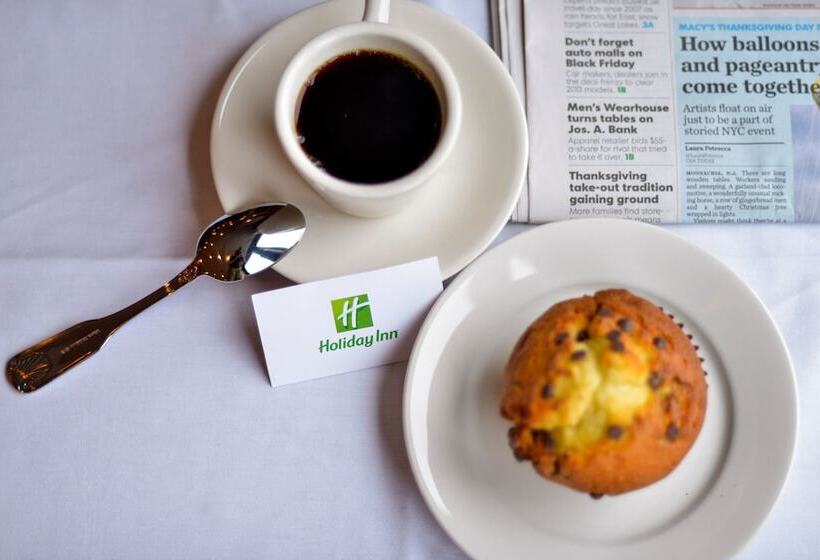 בית מלון כפרי Holiday Inn New Yorkjfk Airport Area