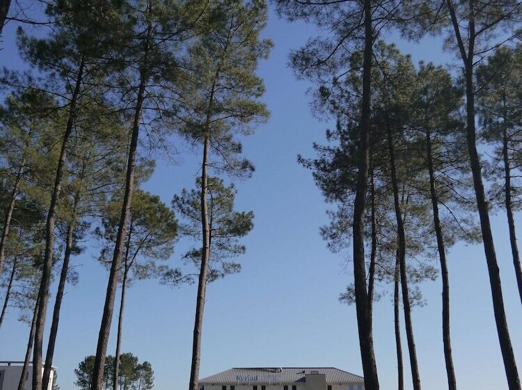 בית מלון כפרי Kyriad Direct Mont De Marsan   St Avit