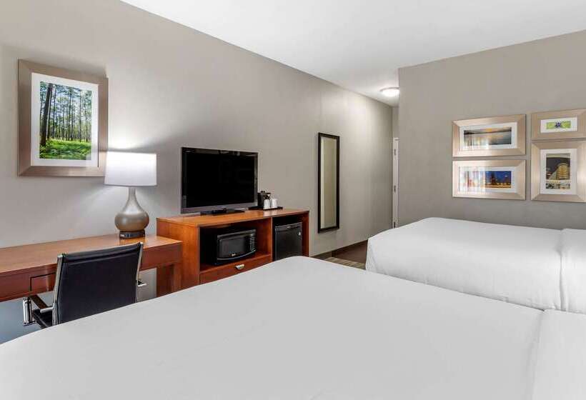 호텔 Comfort Inn & Suites