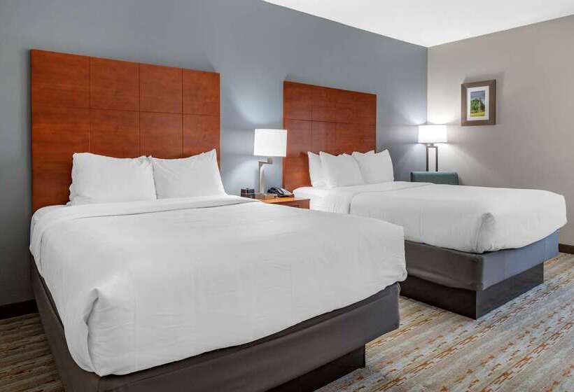 호텔 Comfort Inn & Suites