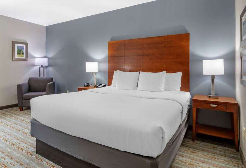 호텔 Comfort Inn & Suites