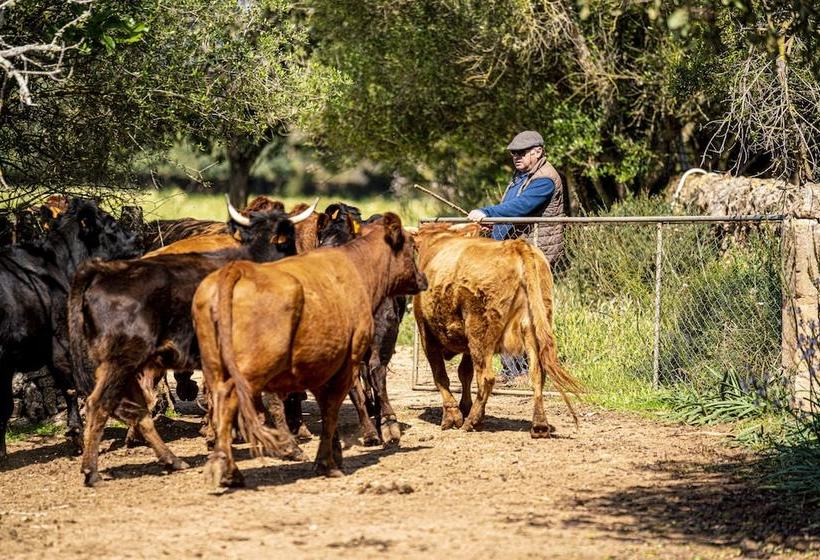 هتل روستایی Finca Agroturismo Son Menut