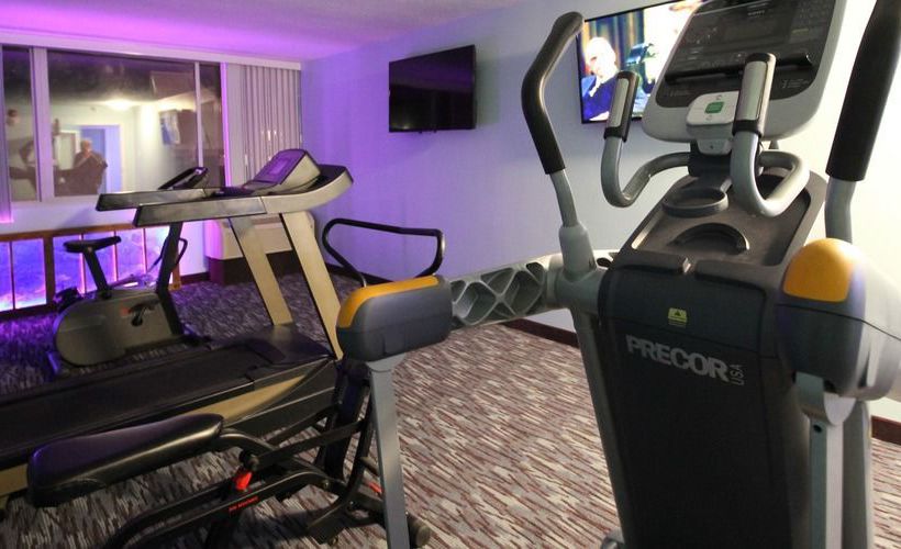 Отель The Economy Inn