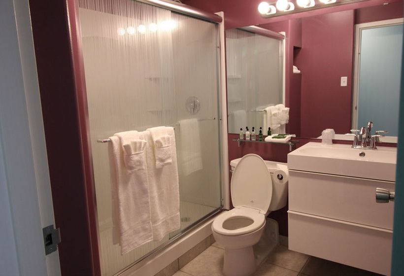 Отель The Economy Inn