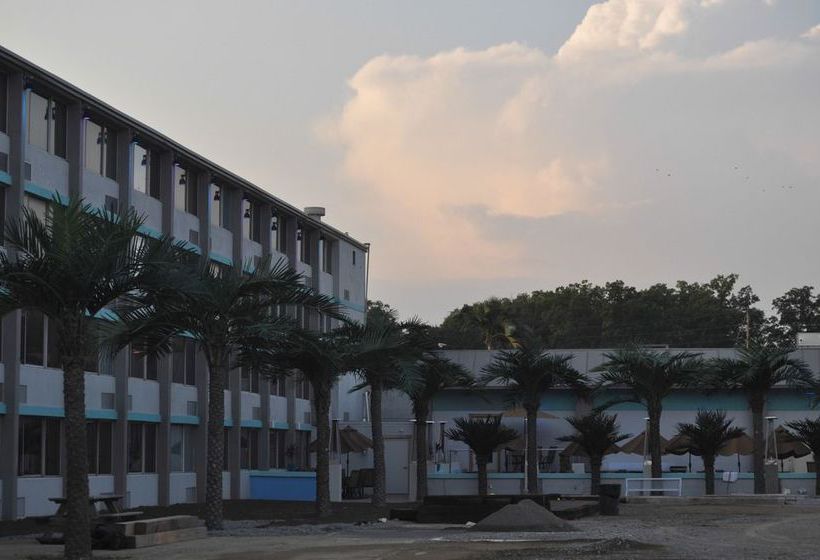 Отель The Economy Inn