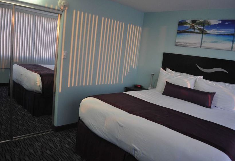 Отель The Economy Inn