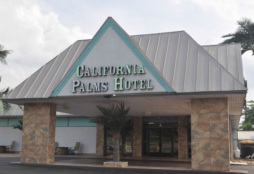 Отель The Economy Inn