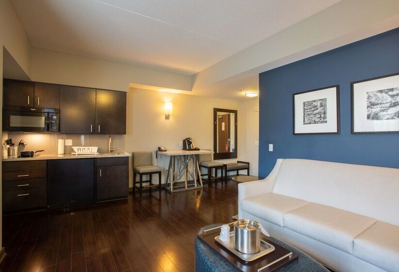 Отель The Mosey Buffalo Williamsville, Tapestry Collection By Hilton