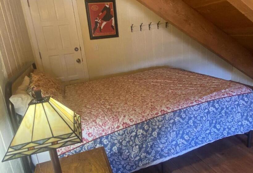 Отель The Viking Lodge Downtown Winter Park Colorado