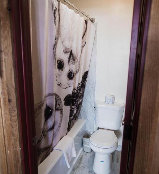 Отель The Viking Lodge Downtown Winter Park Colorado