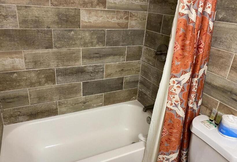 Отель The Viking Lodge Downtown Winter Park Colorado