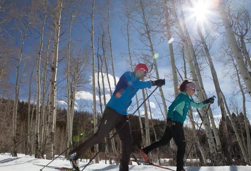 Отель The Viking Lodge Downtown Winter Park Colorado