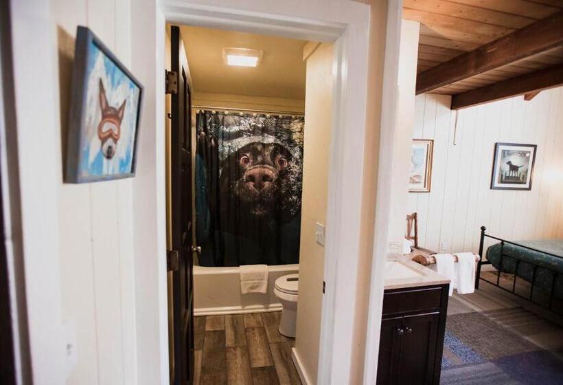 Отель The Viking Lodge Downtown Winter Park Colorado