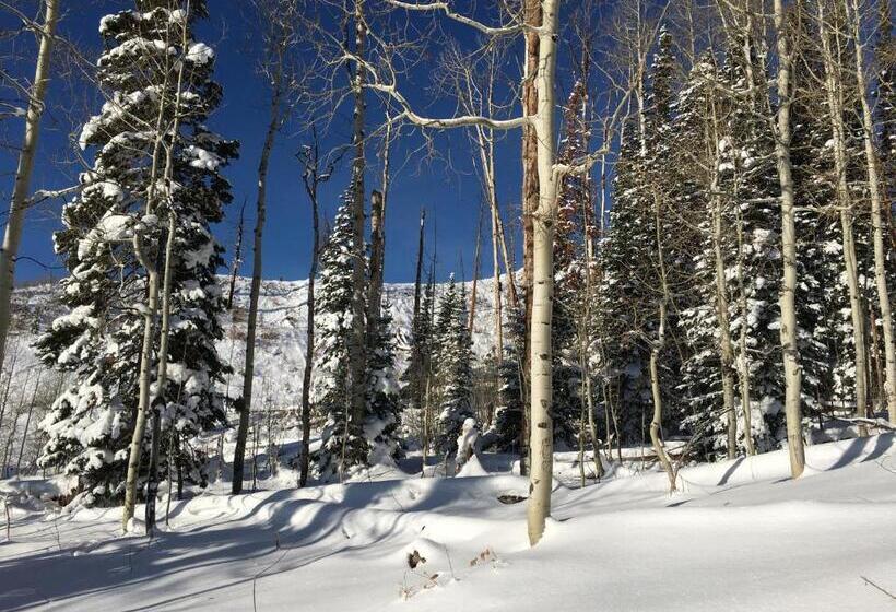 Отель The Viking Lodge Downtown Winter Park Colorado